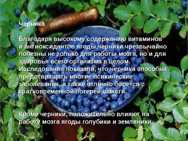 Черника   Благодаря высокому содержанию витаминов и антиоксидантов ягоды черники чрезвычайно полезны не только для работы мозга, но и для здоровья всего организма в целом. Исследования показали, что черника способна предотвращать многие психические заболевания, а также отлично борется с кратковременной потерей памяти.    Кроме черники, положительно влияют на работу мозга ягоды голубики и земляники. 