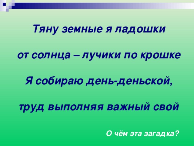 Тяну земные я ладошки   от солнца – лучики по крошке   Я собираю день-деньской,   труд выполняя важный свой     О чём эта загадка? 