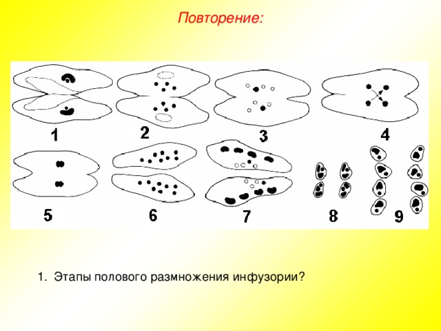 Повторение: