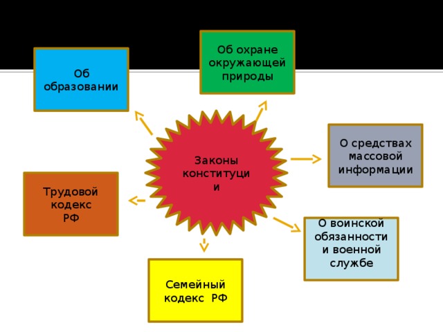 Об охране окружающей природы Об образовании Законы конституции О средствах массовой информации Трудовой кодекс РФ О воинской обязанности и военной службе Семейный кодекс РФ