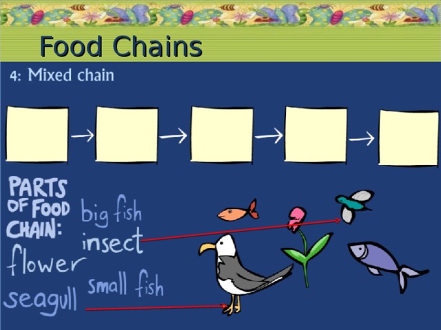 Food Chains 19.11.16  