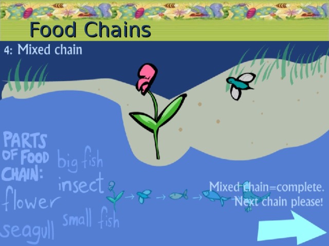 Food Chains 19.11.16  