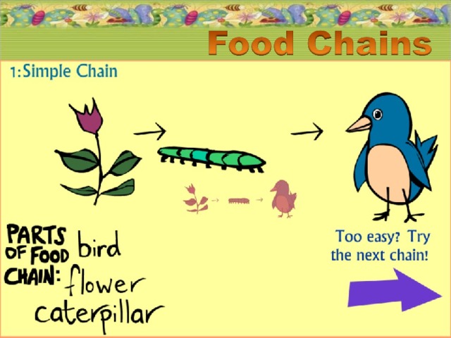 Начиная с данного слайда, ребятам предлагается самим построить Food Chain (от простого к сложному). Задание может выполняться либо в устной форме, либо в письменной форме, а потом проверяться, в зависимости от уровня подготовки! 19.11.16   