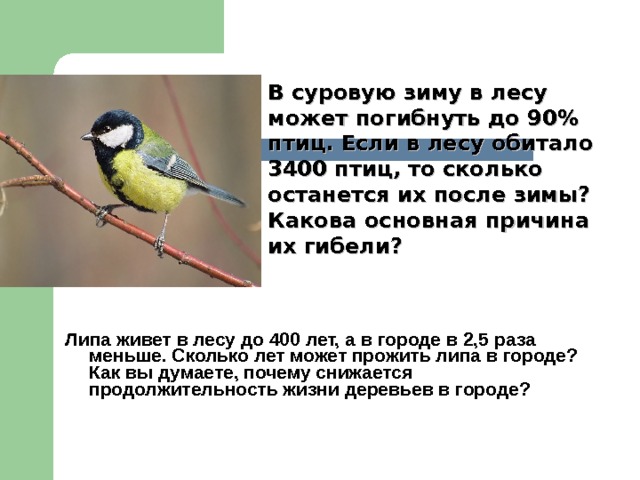 В суровую зиму в лесу может погибнуть до 90% птиц. Если в лесу обитало 3400 птиц, то сколько останется их после зимы? Какова основная причина их гибели?     Липа живет в лесу до 400 лет, а в городе в 2,5 раза меньше. Сколько лет может прожить липа в городе? Как вы думаете, почему снижается продолжительность жизни деревьев в городе?  