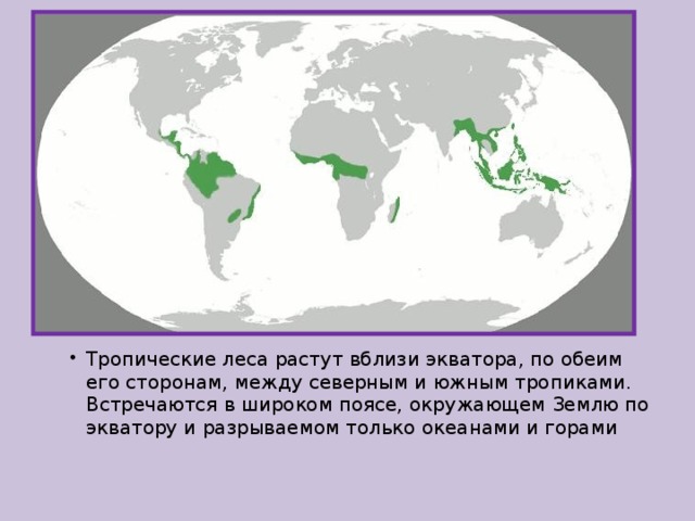 Лесные пояса планеты карта
