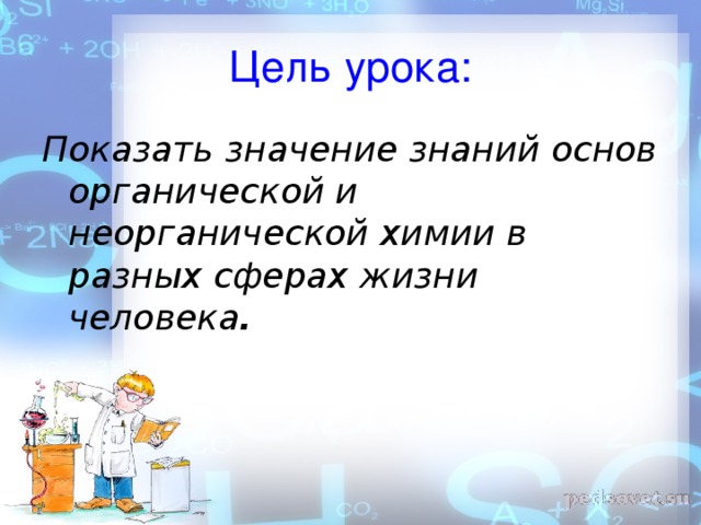 Цель урока: Показать значение знаний основ органической и неорганической химии в разных сферах жизни человека .  