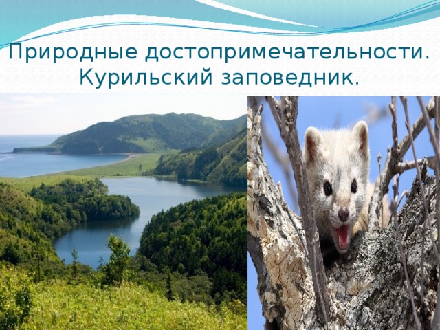Курильский заповедник презентация