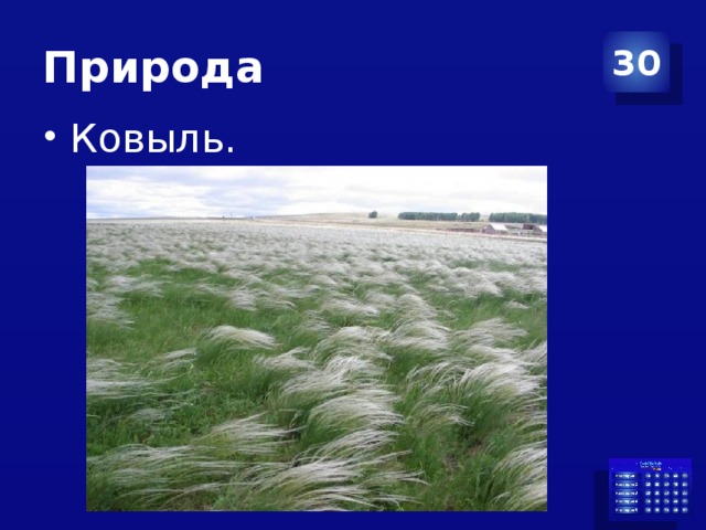 Природа 30 Ковыль. 