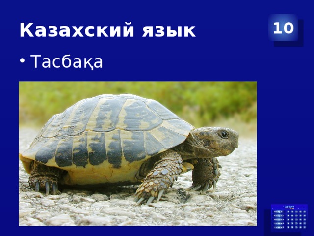Казахский язык 10 Тасбақа 