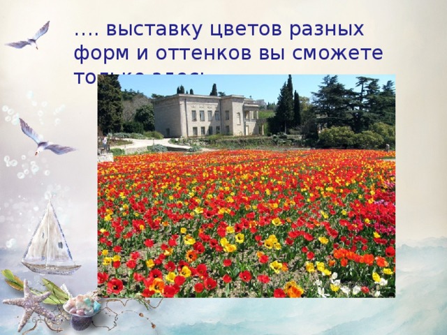 … . выставку цветов разных форм и оттенков вы сможете только здесь. 16.10.16 