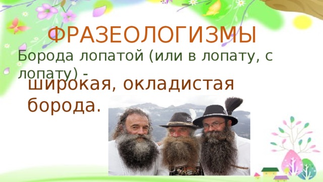 широкая, окладистая борода. ФРАЗЕОЛОГИЗМЫ Борода лопатой (или в лопату, с лопату) - 