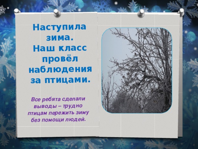 Наступила зима.  Наш класс провёл наблюдения за птицами. Все ребята сделали выводы – трудно птицам пережить зиму без помощи людей. 