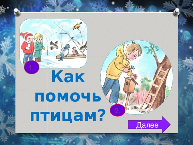 1. Как помочь птицам? 2. Далее 