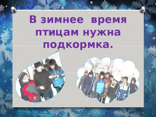 В зимнее время птицам нужна подкормка. 
