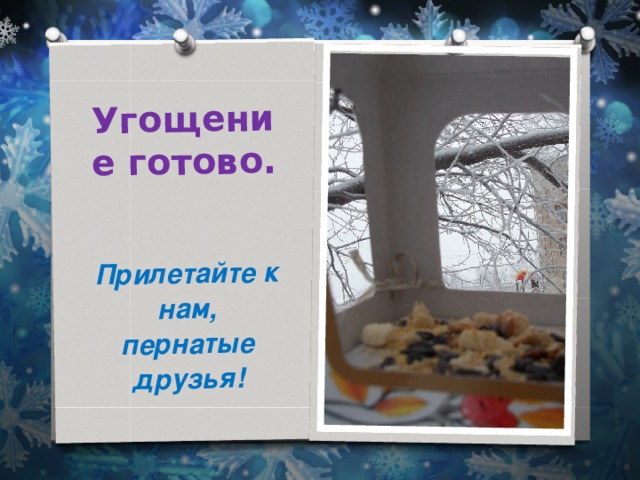 Угощение готово. Прилетайте к нам, пернатые друзья! 