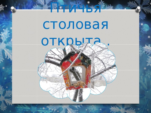 Птичья столовая открыта.. 