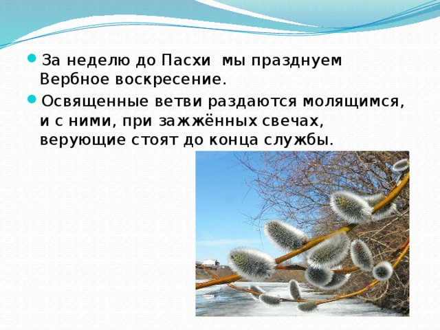 За неделю до Пасхи мы празднуем Вербное воскресение. Освященные ветви раздаются молящимся, и с ними, при зажжённых свечах, верующие стоят до конца службы. 