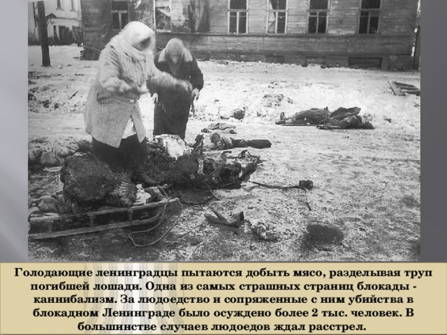 Голодающие ленинградцы пытаются добыть мясо, разделывая труп погибшей лошади. Одна из самых страшных страниц блокады - каннибализм. За людоедство и сопряженные с ним убийства в блокадном Ленинграде было осуждено более 2 тыс. человек. В большинстве случаев людоедов ждал расстрел.  