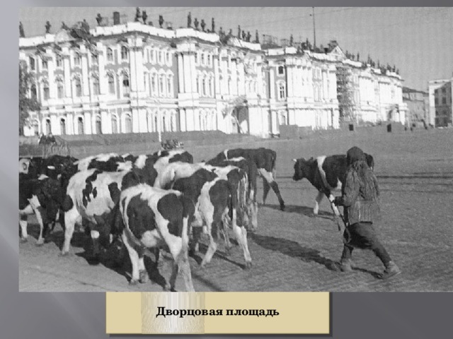  Дворцовая площадь  