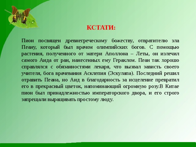  КСТАТИ:  Пион посвящен древнегреческому божеству, отвратителю зла Пеану, который был врачом олимпийских богов. С помощью растения, полученного от матери Аполлона – Леты, он излечил самого Аида от ран, нанесенных ему Гераклом. Пеан так хорошо справлялся с обязанностями лекаря, что вызвал зависть своего учителя, бога врачевания Асклепия (Эскулапа). Последний решил отравить Пеана, но Аид в благодарность за исцеление превратил его в прекрасный цветок, напоминающий огромную розу.В Китае пион был принадлежностью императорского двора, и его строго запрещали выращивать простому люду. 