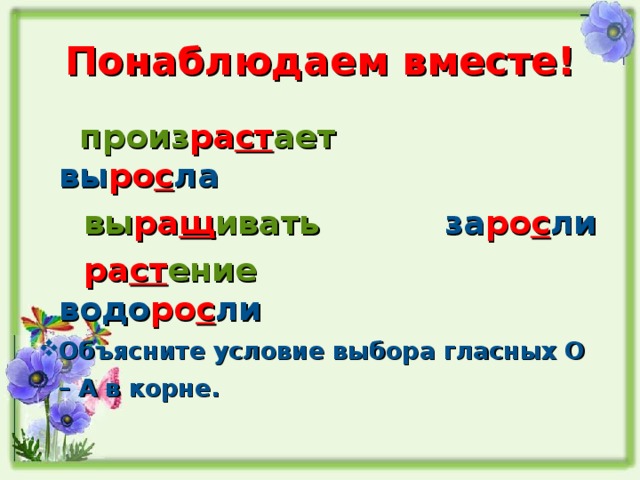 Понаблюдаем вместе!  произ ра ст ает вы ро с ла  вы ра щ ивать за ро с ли  ра ст ение водо ро с ли Объясните условие выбора гласных О – А в корне.  