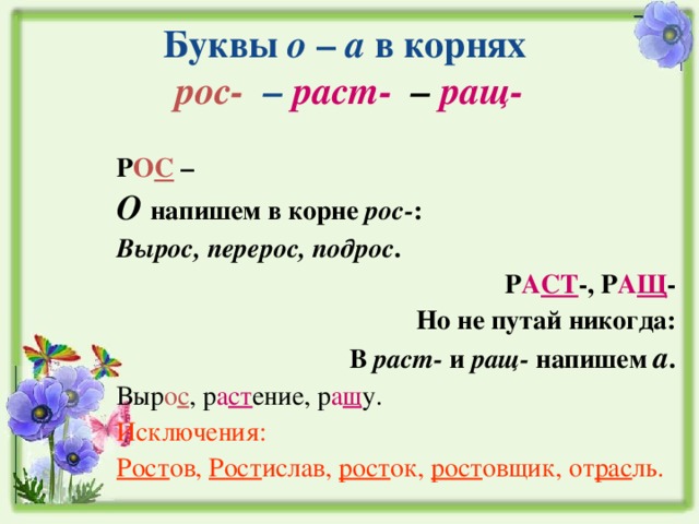 Буквы о – а в корнях  рос- – раст- – ращ-  Р О С – О напишем в корне рос- : Вырос, перерос, подрос . Р А СТ -, Р А Щ - Но не путай никогда: В раст- и ращ- напишем а . Выр о с , р а ст ение, р а щ у. Исключения: Рост ов, Рост ислав, рост ок, рост овщик, от рас ль. 