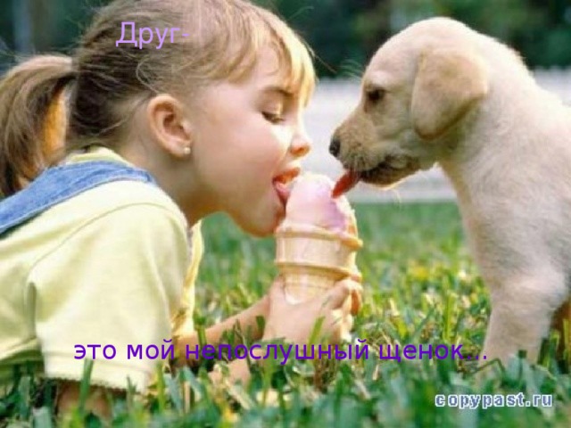 Друг- это мой непослушный щенок... 