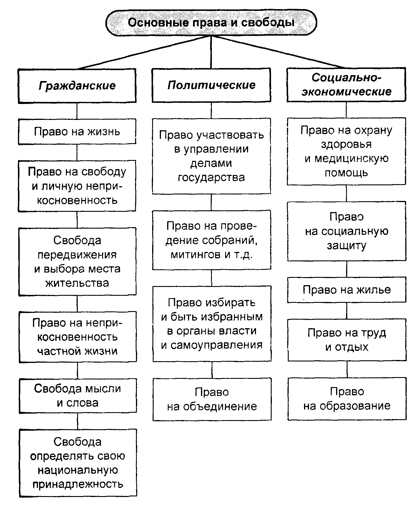 Основные права граждан рф схема