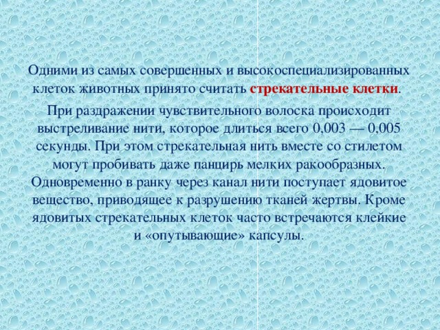 Одними из самых совершенных и высокоспециализированных клеток животных принято считать стрекательные клетки . При раздражении чувствительного волоска происходит выстреливание нити, которое длиться всего 0,003 — 0,005 секунды. При этом стрекательная нить вместе со стилетом могут пробивать даже панцирь мелких ракообразных. Одновременно в ранку через канал нити поступает ядовитое вещество, приводящее к разрушению тканей жертвы. Кроме ядовитых стрекательных клеток часто встречаются клейкие и «опутывающие» капсулы. 
