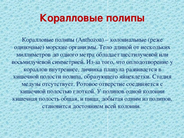 Коралловые полипы Коралловые полипы (Anthozoa) – колониальные (реже одиночные) морские организмы. Тело длиной от нескольких миллиметров до одного метра обладает шестилучевой или восьмилучевой симметрией. Из-за того, что оплодотворение у кораллов внутреннее, личинка планула развивается в кишечной полости полипа, образующего яйцеклетки. Стадия медузы отсутствует. Ротовое отверстие соединяется с кишечной полостью глоткой. У полипов одной колонии кишечная полость общая, и пища, добытая одним из полипов, становится достоянием всей колонии. 