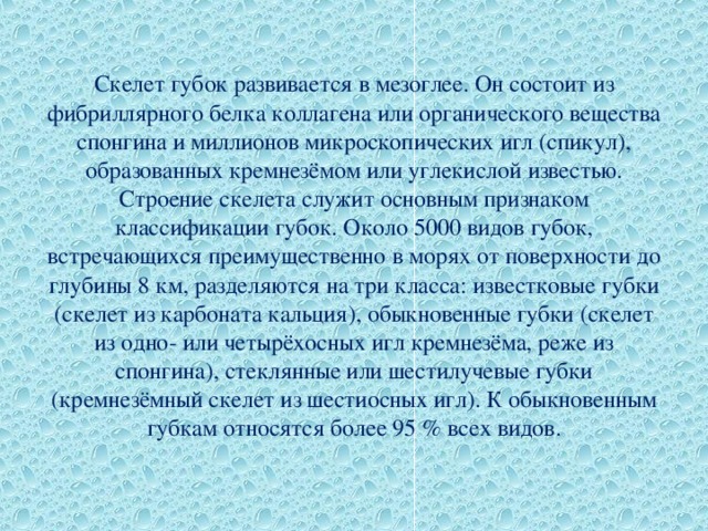 Скелет губок развивается в мезоглее. Он состоит из фибриллярного белка коллагена или органического вещества спонгина и миллионов микроскопических игл (спикул), образованных кремнезёмом или углекислой известью. Строение скелета служит основным признаком классификации губок. Около 5000 видов губок, встречающихся преимущественно в морях от поверхности до глубины 8 км, разделяются на три класса: известковые губки (скелет из карбоната кальция), обыкновенные губки (скелет из одно- или четырёхосных игл кремнезёма, реже из спонгина), стеклянные или шестилучевые губки (кремнезёмный скелет из шестиосных игл). К обыкновенным губкам относятся более 95 % всех видов. 