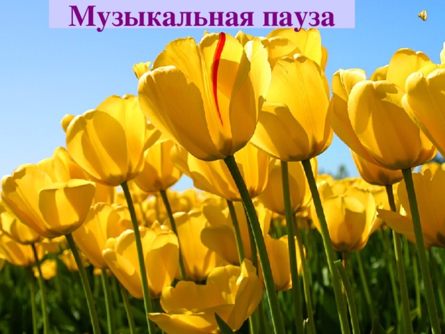 Музыкальная пауза 