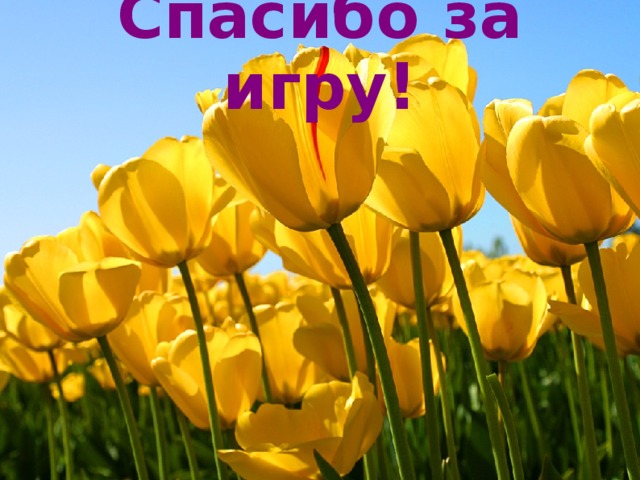 Спасибо за игру!   