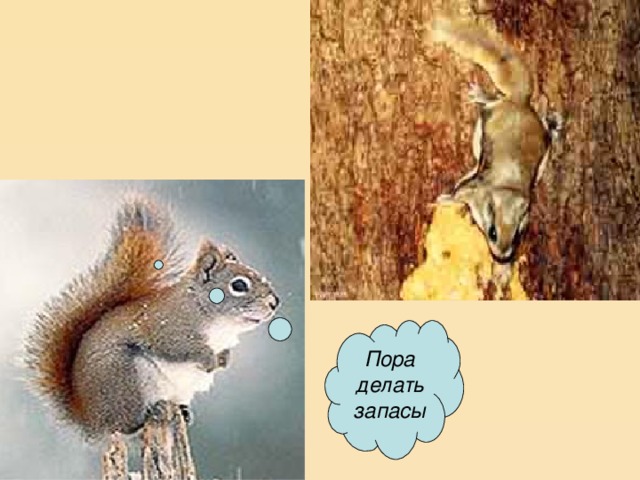 Пора делать запасы 