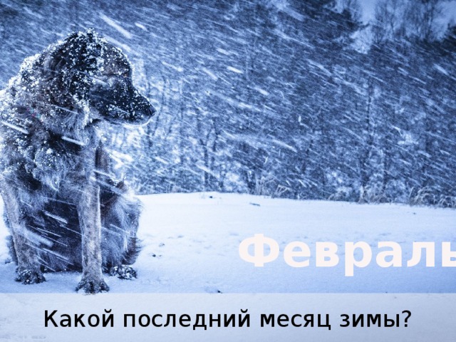 Февраль Какой последний месяц зимы? 