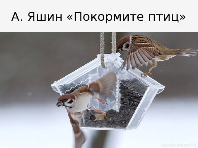 А. Яшин «Покормите птиц» 