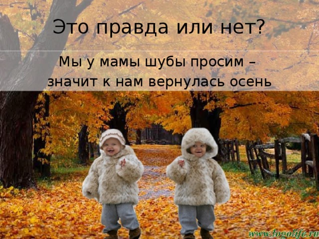 Это правда или нет? Мы у мамы шубы просим – значит к нам вернулась осень 