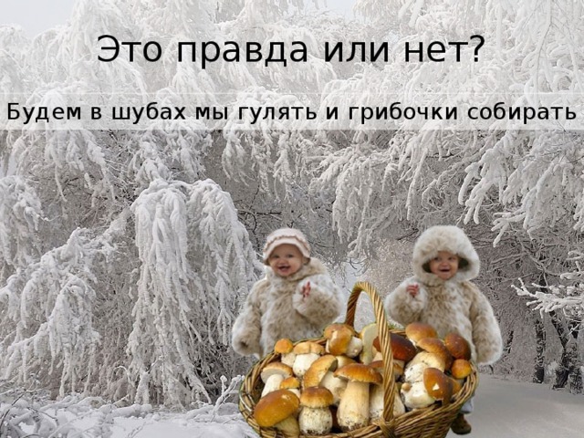 Это правда или нет? Будем в шубах мы гулять и грибочки собирать 
