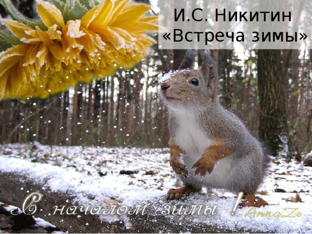И.С. Никитин  «Встреча зимы» 