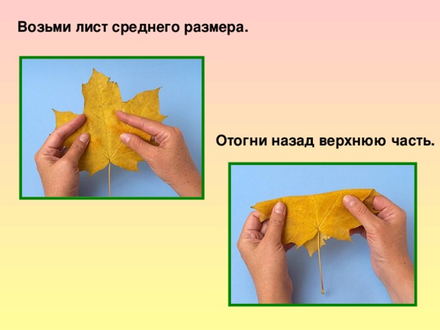 Возьми лист среднего размера. Отогни назад верхнюю часть. 