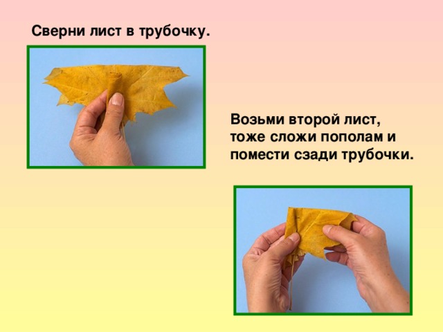 Сверни лист в трубочку. Возьми второй лист, тоже сложи пополам и помести сзади трубочки. 