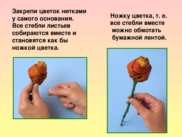 Закрепи цветок нитками у самого основания. Все стебли листьев собираются вместе и становятся как бы ножкой цветка. Ножку цветка, т. е. все стебли вместе  можно обмотать  бумажной лентой. 