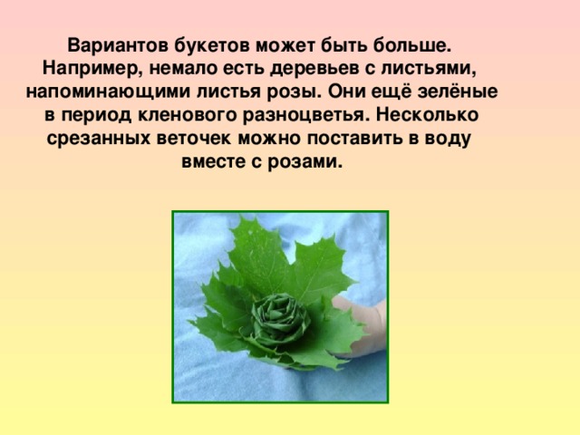 Вариантов букетов может быть больше. Например, немало есть деревьев с листьями, напоминающими листья розы. Они ещё зелёные  в период кленового разноцветья. Несколько срезанных веточек можно поставить в воду вместе с розами. 