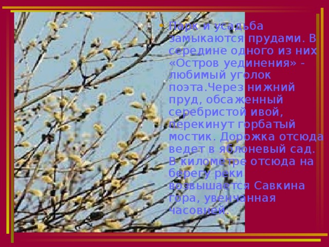 Парк и усадьба замыкаются прудами. В середине одного из них «Остров уединения» - любимый уголок поэта.Через нижний пруд, обсаженный серебристой ивой, перекинут горбатый мостик. Дорожка отсюда ведет в яблоневый сад. В километре отсюда на берегу реки возвышается Савкина гора, увенчанная часовней. 