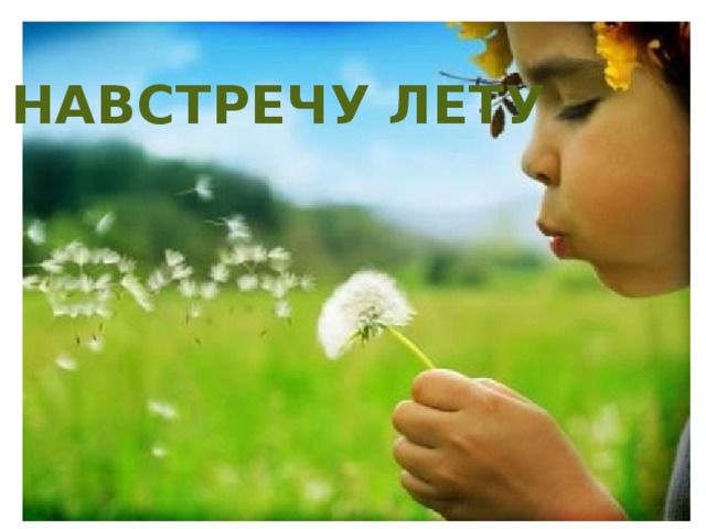 НАВСТРЕЧУ ЛЕТУ НАВСТРЕЧУ ЛЕТУ 