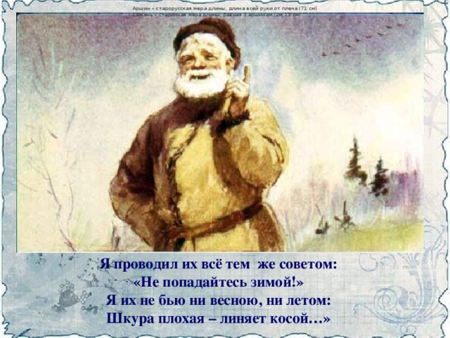 Аршин – старорусская мера длины, длина всей руки от плеча (71 см) Сажень – старинная мера длины, равная 3 аршинам (2м 13 см) Я проводил их всё тем же советом:  «Не попадайтесь зимой!»  Я их не бью ни весною, ни летом:  Шкура плохая – линяет косой…»