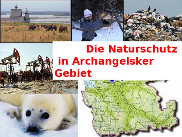 Die Naturschutz  in Archangelsker Gebiet