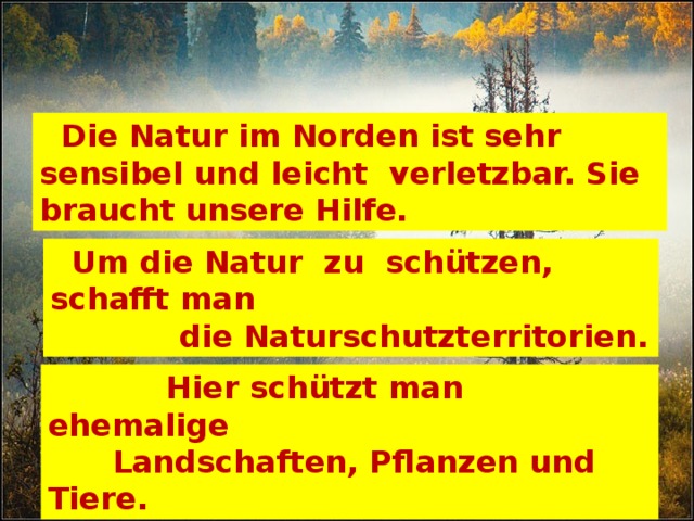 Die Natur im Norden ist sehr sensibel und leicht verletzbar. Sie braucht unsere Hilfe.  Um die Natur zu schützen, schafft man  die Naturschutzterritorien.  Hier schützt man ehemalige  Landschaften, Pflanzen und Tiere.