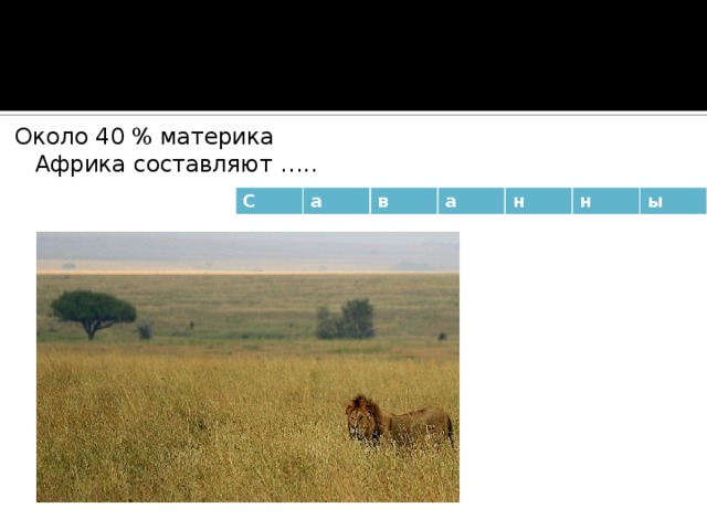 Около 40 % материка Африка составляют ….. С а в а н н ы 