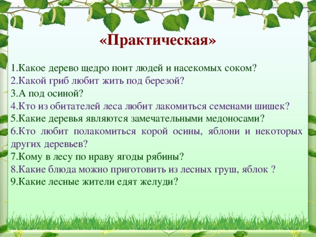«Практическая»